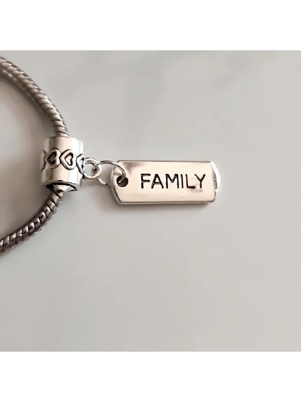 ☀️FAMILY Word Charm Fits pandora and European Systems